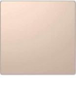MTN3300-6051 (MTN3300-6051) Клавиша одинарная Merten D-Life. шампань. Schneider Electric