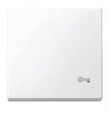 MTN3303-0325 (MTN3303-0325) Клавиша с пиктограммой ключ Merten System M. белый. Schneider Electric