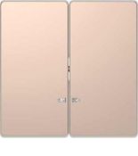 MTN3420-6051 (MTN3420-6051) Клавиша двойная с LED-индикацией Merten D-Life. шампань. Schneider Electric