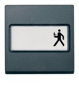 MTN433314 (MTN433314) Клавиша с полем для надписи Merten System M. антрацит. Schneider Electric