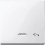 MTN435319 (MTN435319) Клавиша с окошком для световой индикации и пиктограммой «ключ» Merten System M. полярно-белый. Schneider Electric