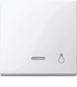 (MTN435919) Клавиша с окошком для световой индикации и пиктограммой свет Merten System M. полярно-белый. Schneider Electric MTN435919 (MTN435919) Клавиша с окошком для световой индикации и пиктограммой свет Merten System M. полярно-белый. Schneider Electric