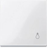 MTN438919 (MTN438919) Клавиша с пиктограммой свет Merten System M. полярно-белый. Schneider Electric