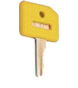 (ECX1063) Ключ с цветной крышкой желтый (комплект из двух штук). Comepi