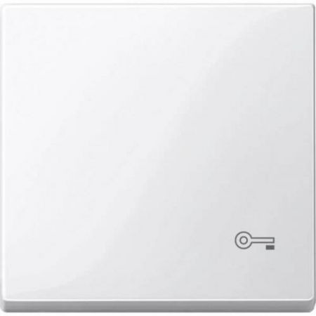 MTN3303-0319 (MTN3303-0319) Клавиша с пиктограммой ключ Merten System M. полярно-белый. Schneider Electric