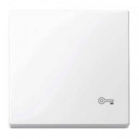 MTN3303-0325 (MTN3303-0325) Клавиша с пиктограммой ключ Merten System M. белый. Schneider Electric