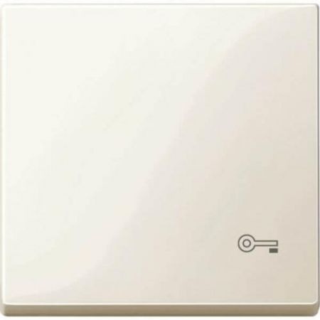 MTN3303-0344 (MTN3303-0344) Клавиша с пиктограммой ключ Merten System M. бежевый. Schneider Electric