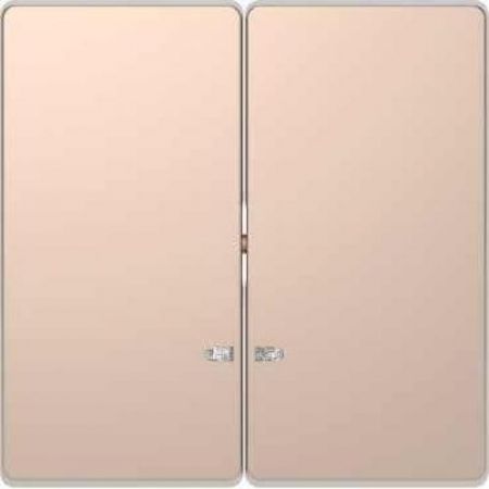 MTN3420-6051 (MTN3420-6051) Клавиша двойная с LED-индикацией Merten D-Life. шампань. Schneider Electric