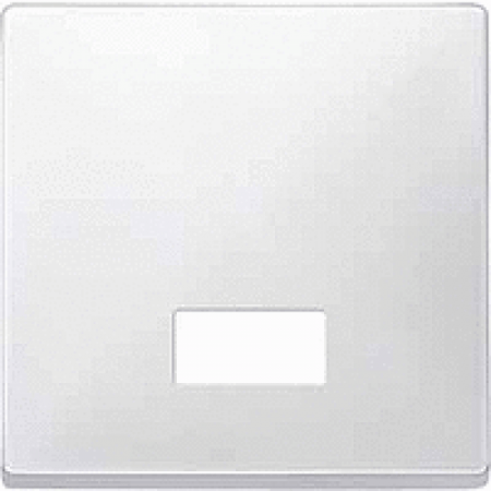 MTN411819 (MTN411819) Клавиша с прямоугольным окошком для символов Merten System Design. полярно-белый. Schneider Electric