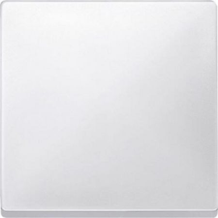 MTN412119 (MTN412119) Клавиша для 1-кнопочного выключателя Merten System Design. полярно-белый. Schneider Electric