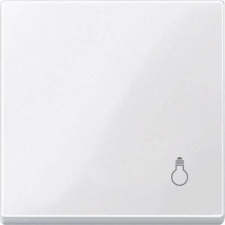 MTN412919 (MTN412919) Клавиша для 1-кнопочного выключателя с маркировкой Свет Merten System Design. полярно-белый. Schneider Electric