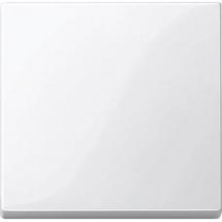 MTN432119 (MTN432119) Клавиша Merten System M. полярно-белый. Schneider Electric