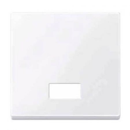 MTN432825 (MTN432825) Клавиша с окошком для световой индикации Merten System M. белый. Schneider Electric