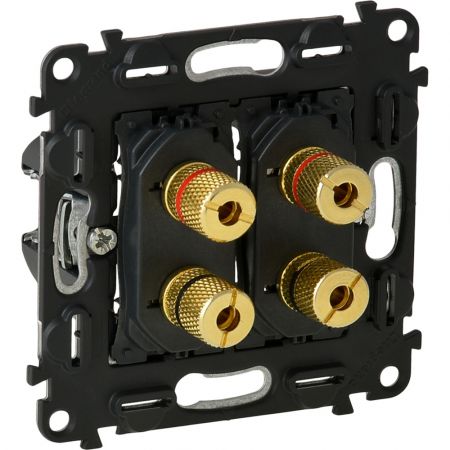753077 Двойная аудио розетка Banana Valena In'Matic.Legrand